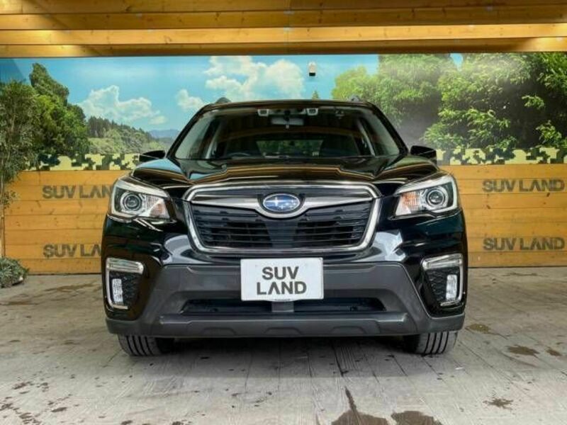FORESTER-15