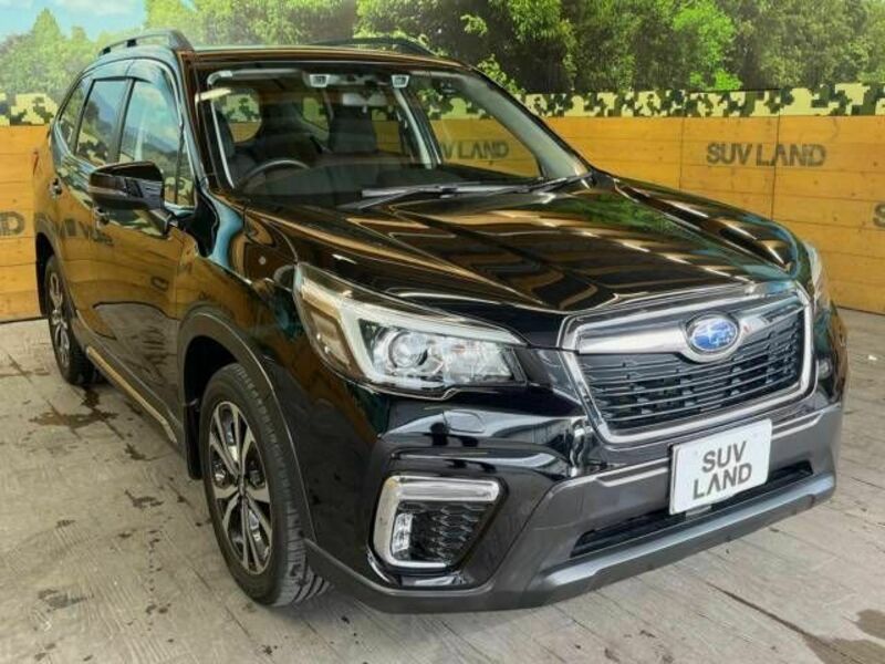 FORESTER-17