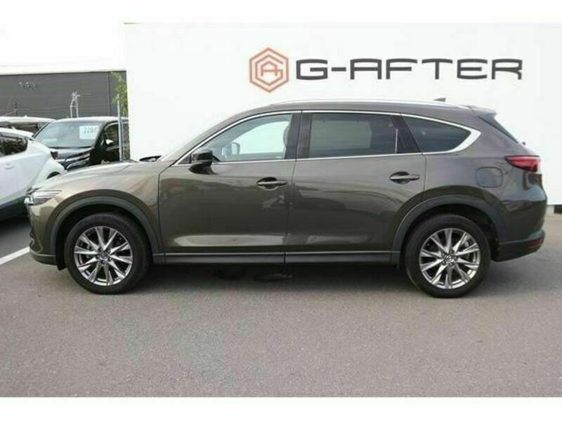 CX-8