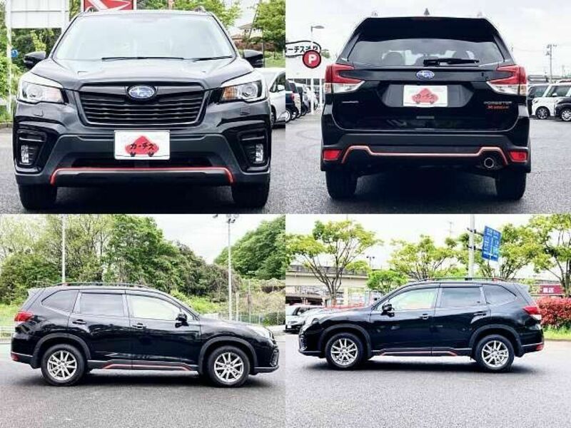 FORESTER-3