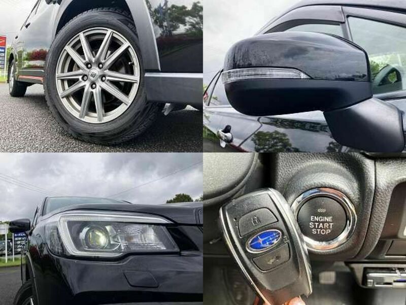 FORESTER-4