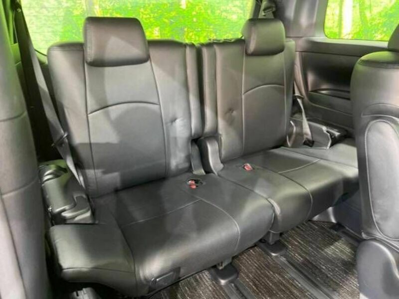 ALPHARD-10