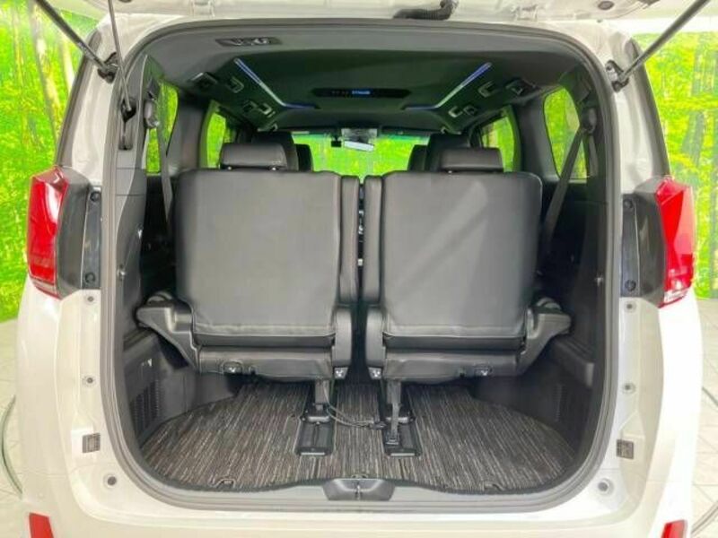ALPHARD-11