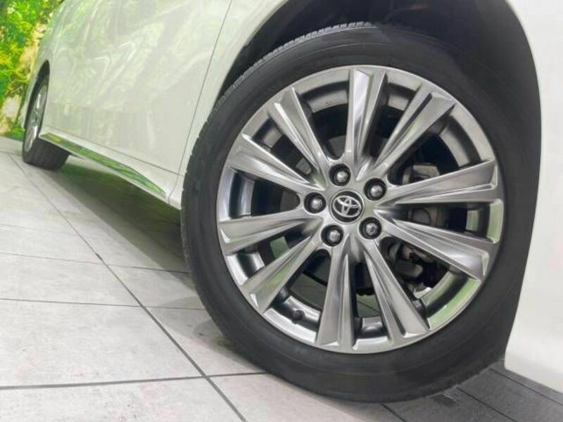 ALPHARD-13