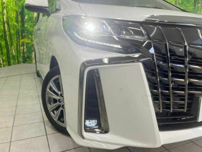 ALPHARD-14