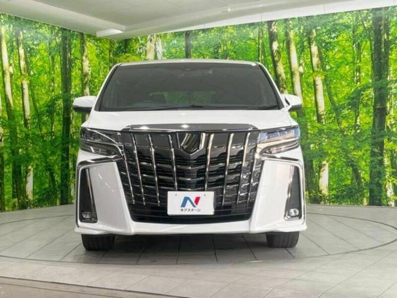 ALPHARD-15