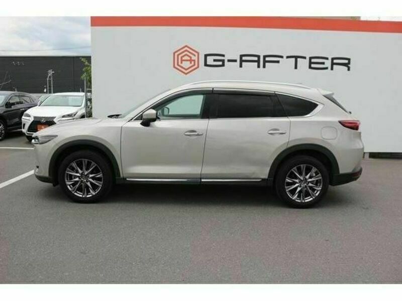 CX-8
