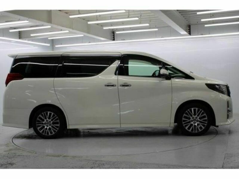 ALPHARD-6