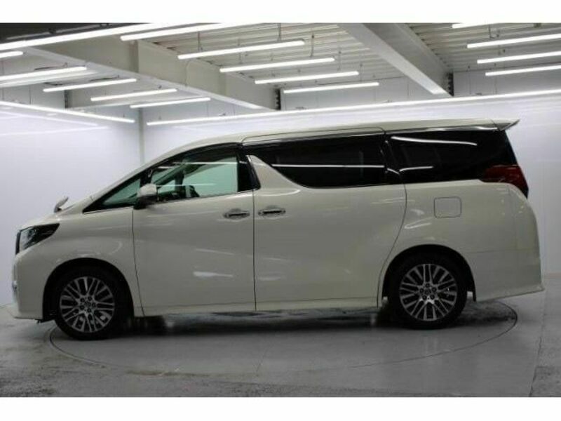 ALPHARD-8