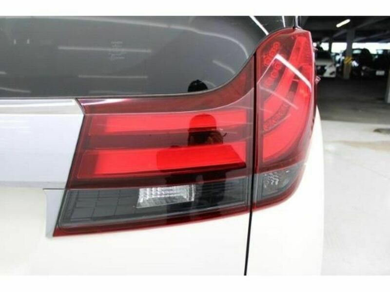 ALPHARD-10