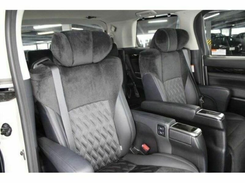 ALPHARD-13