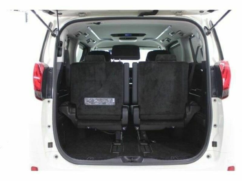 ALPHARD-17