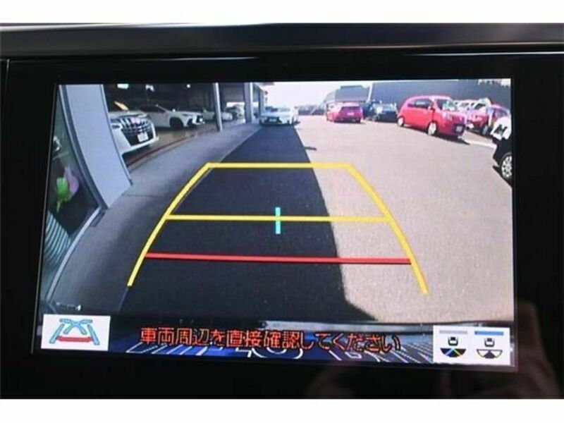 ALPHARD-10