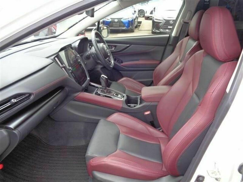 LEVORG-10