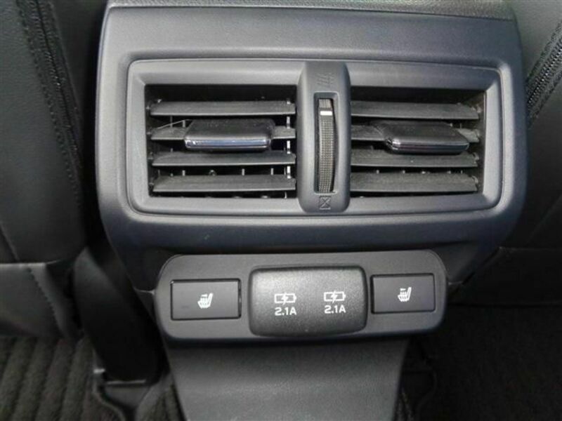 LEVORG-13