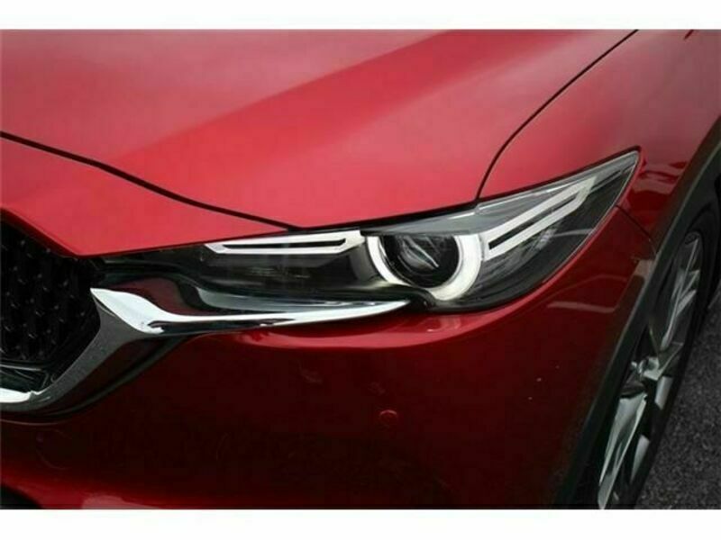 CX-8-12