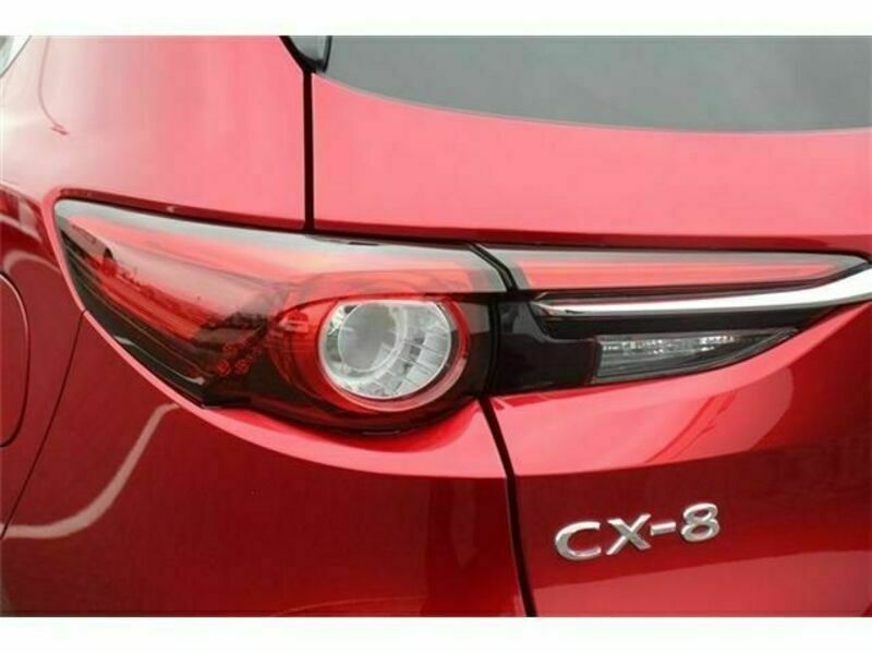 CX-8-13