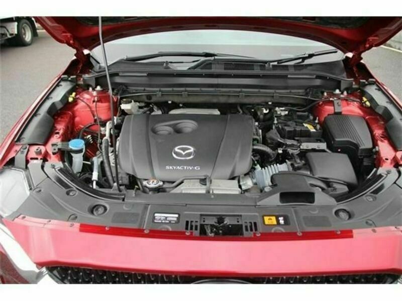 CX-8-18