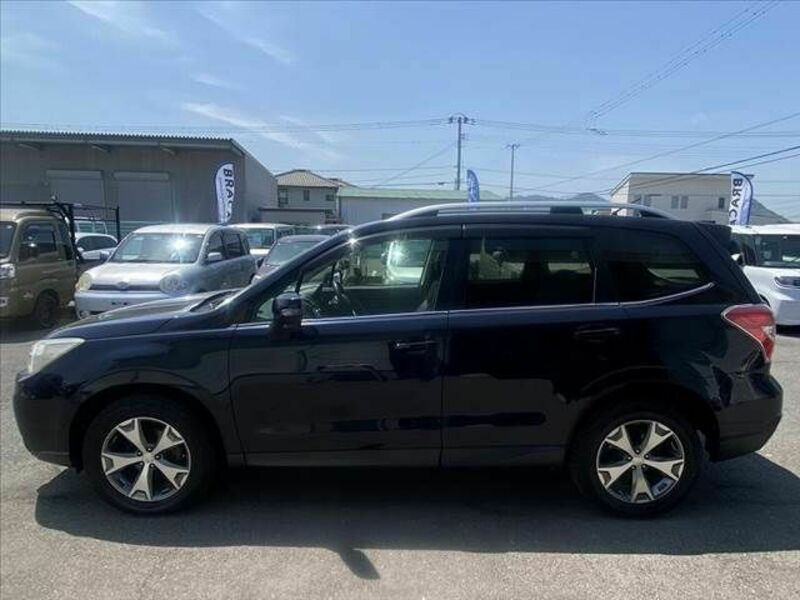 FORESTER