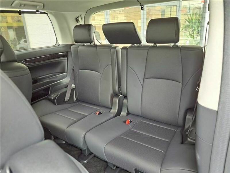 ALPHARD-13