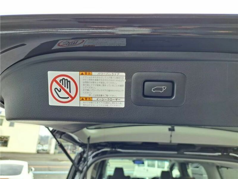 ALPHARD-34
