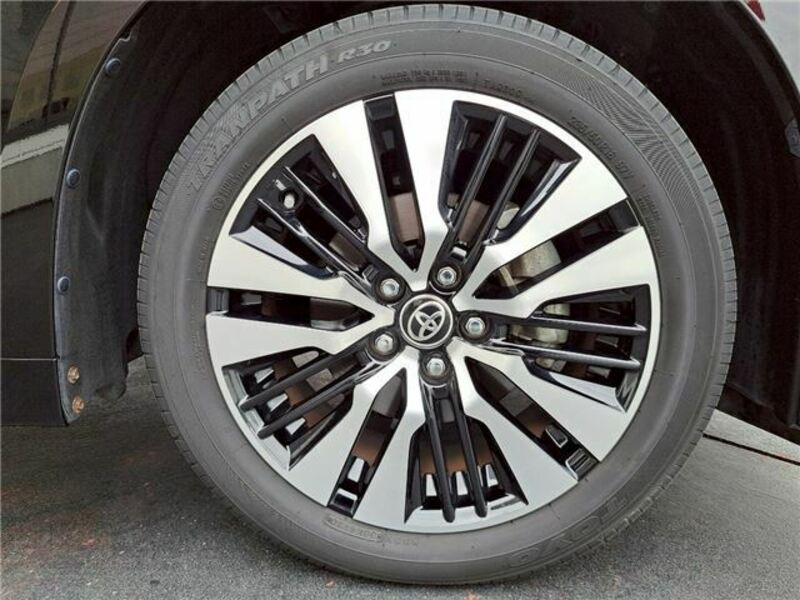 ALPHARD-38