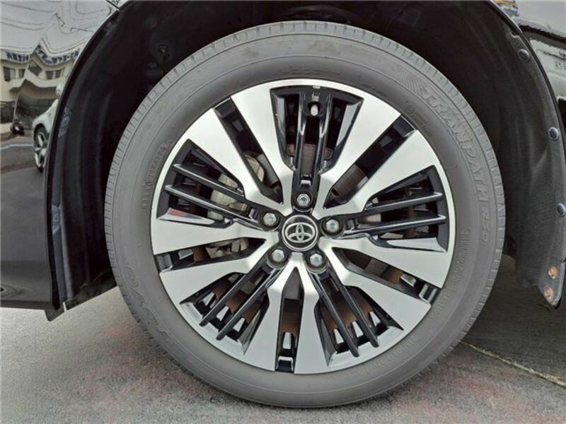 ALPHARD-41