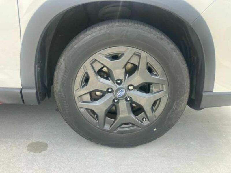 FORESTER-8