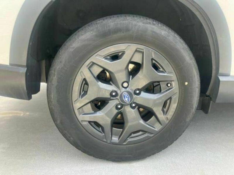 FORESTER-9