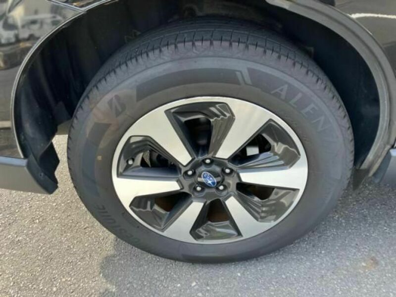 FORESTER-8