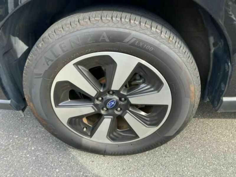 FORESTER-10