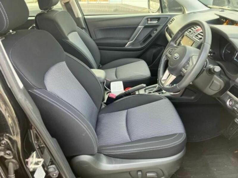 FORESTER-12