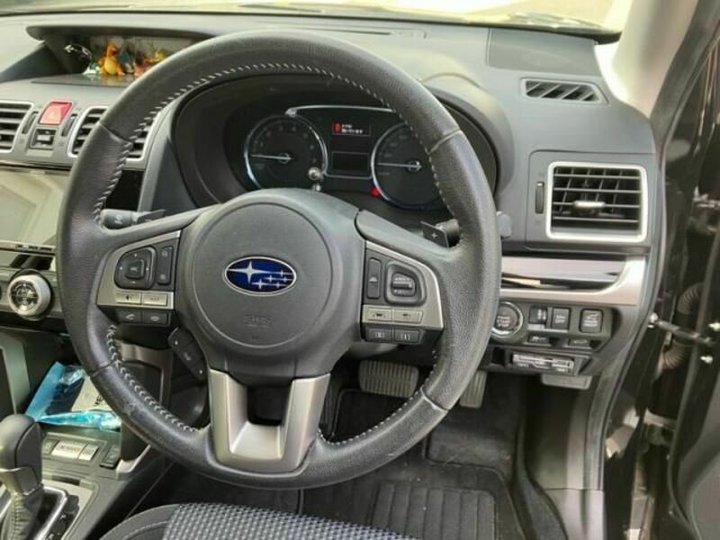 FORESTER-16