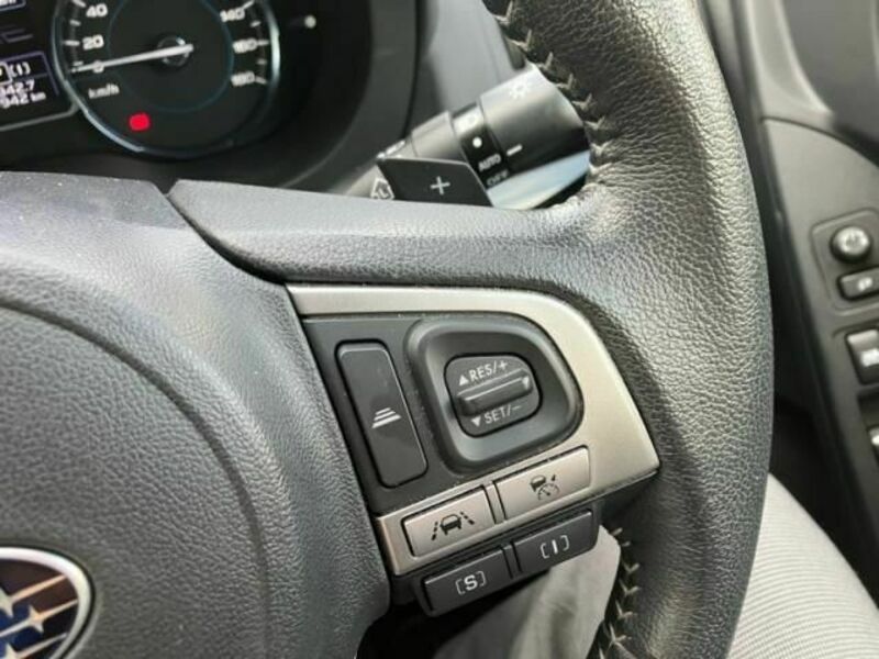 FORESTER-19