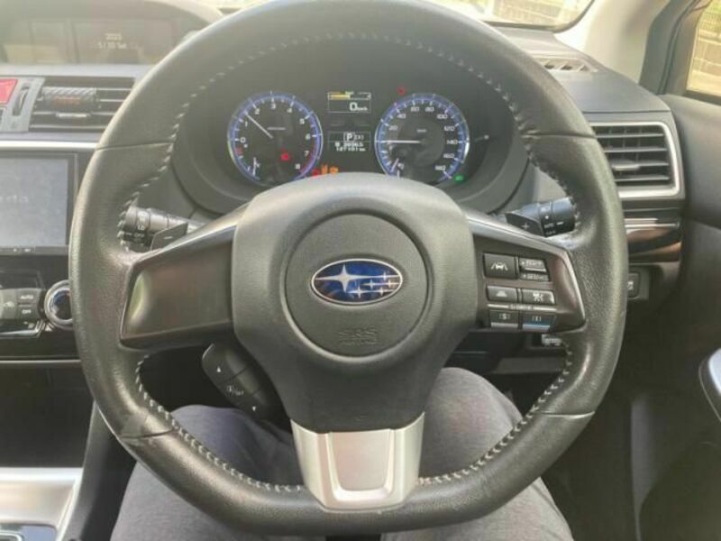 LEVORG