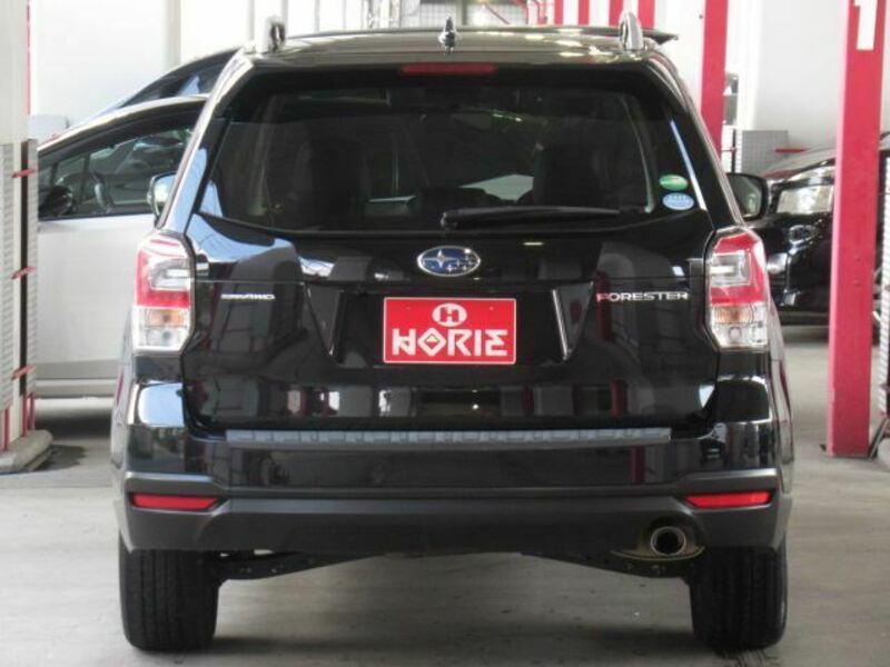 FORESTER-1