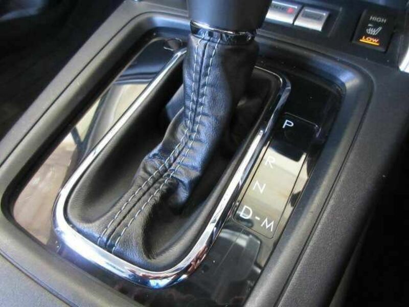 FORESTER-11