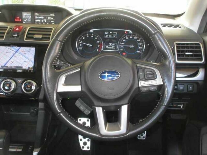 FORESTER-12