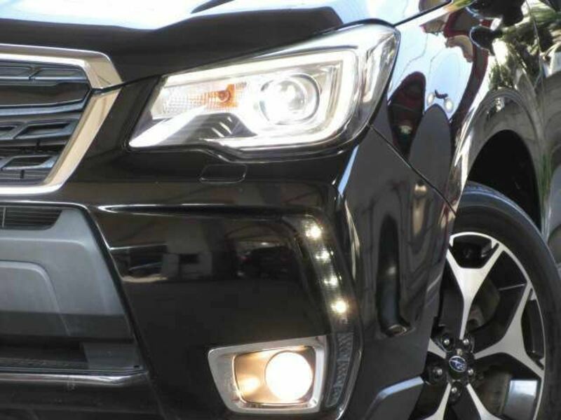 FORESTER-19