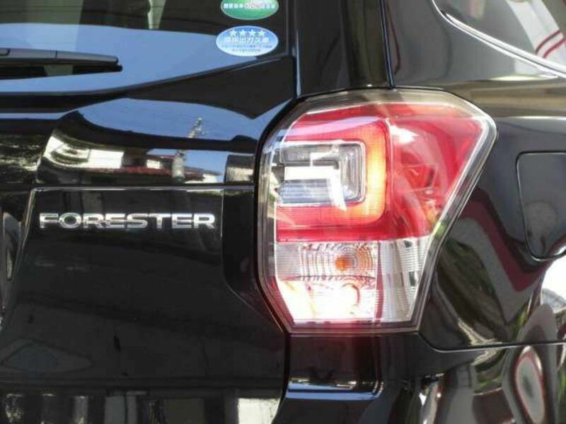 FORESTER-20