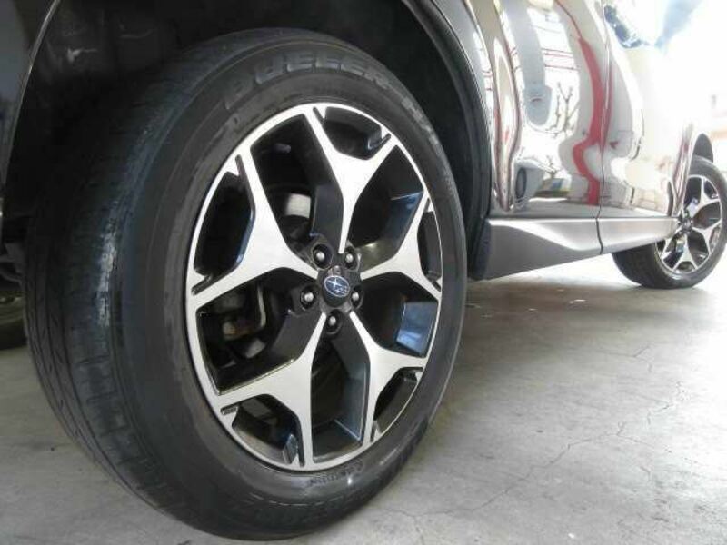 FORESTER-21