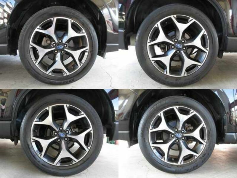 FORESTER-22
