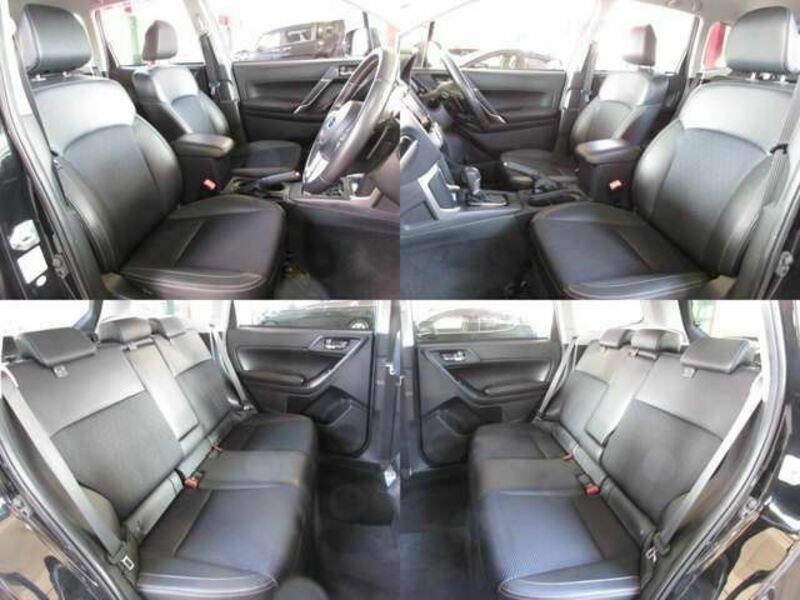 FORESTER-23
