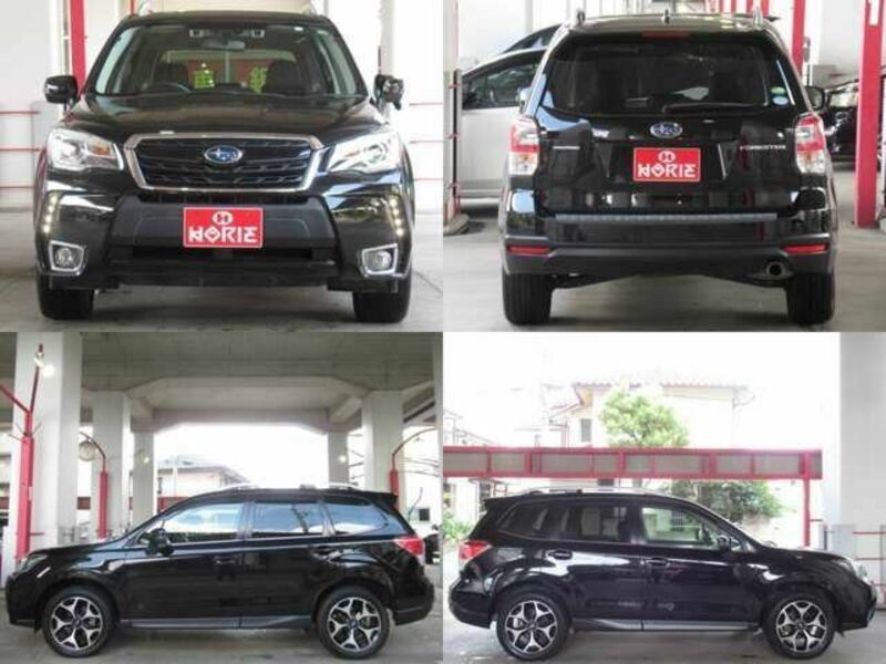 FORESTER-29