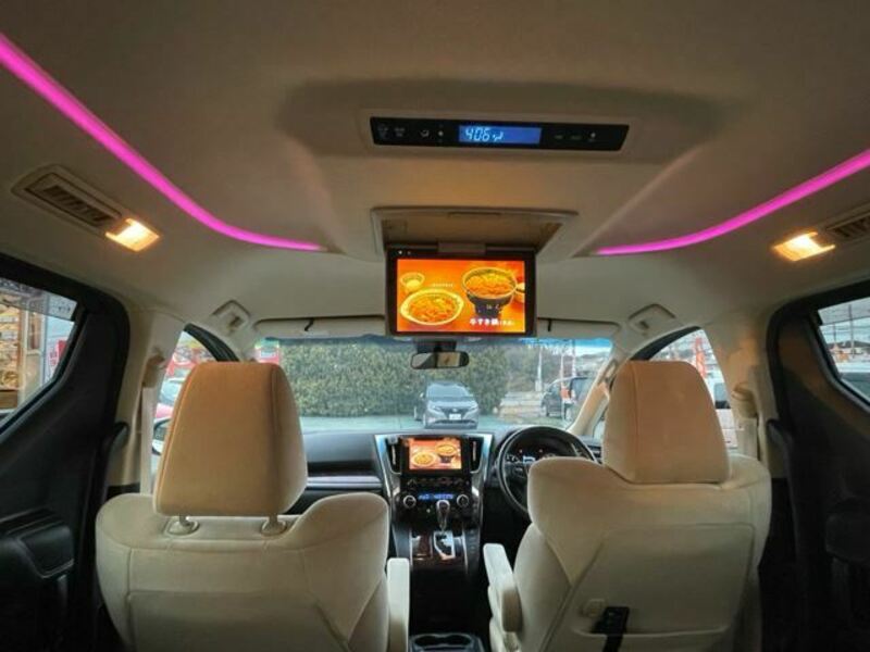 ALPHARD-12