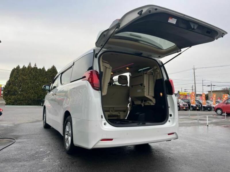 ALPHARD-21