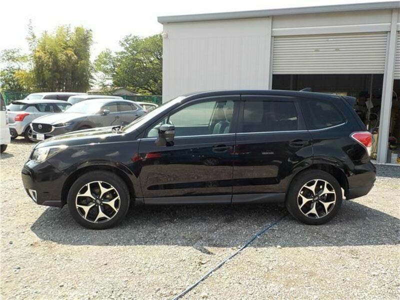 FORESTER-6