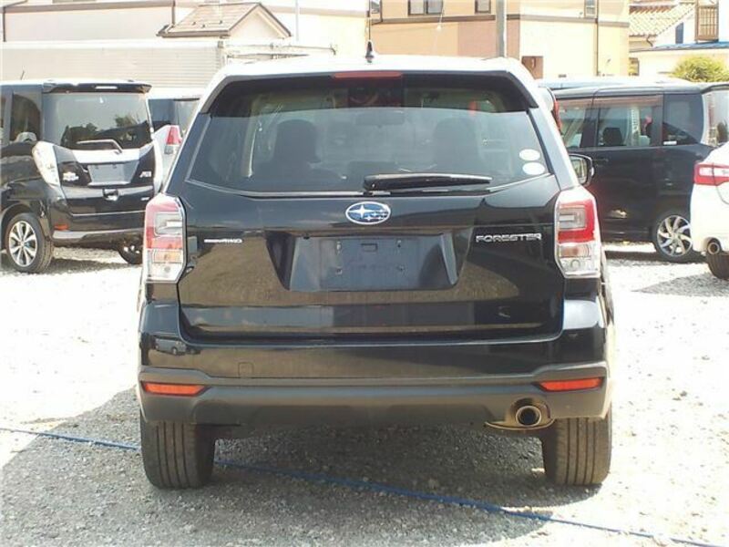 FORESTER-7