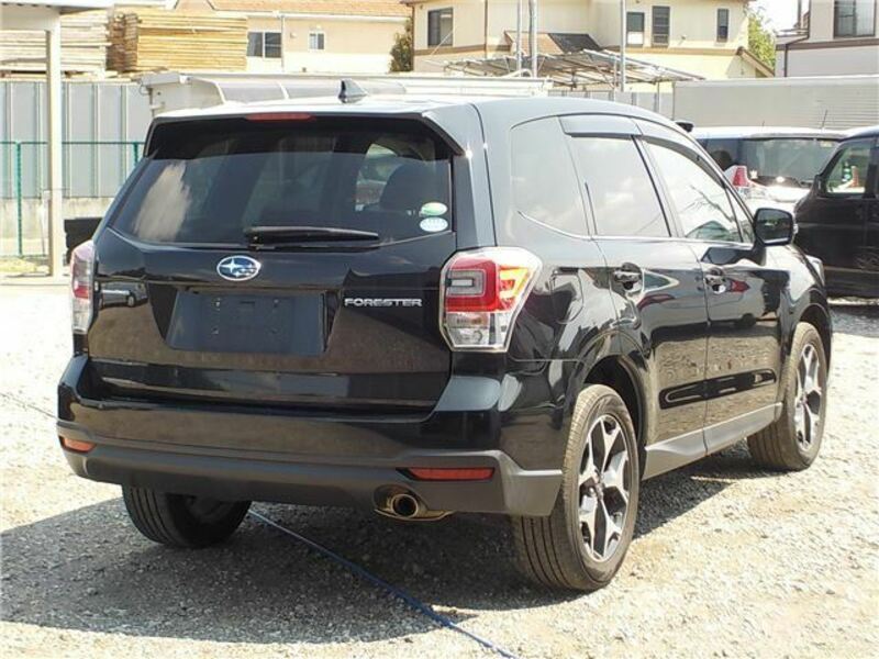 FORESTER-8