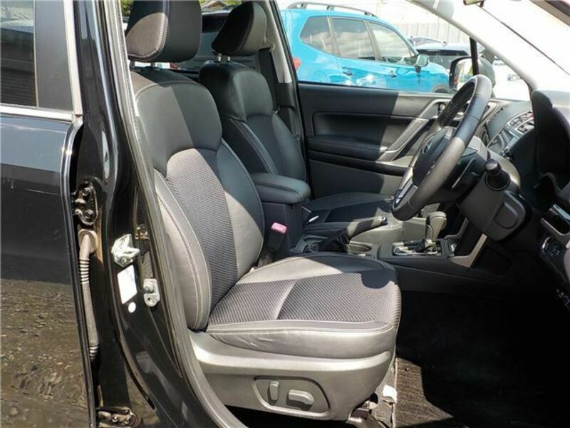FORESTER-10